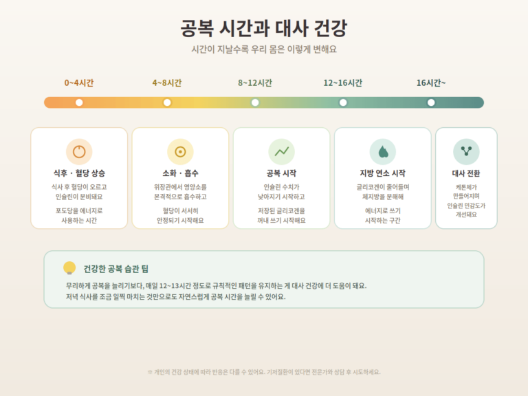 공복시간과대사건강 1